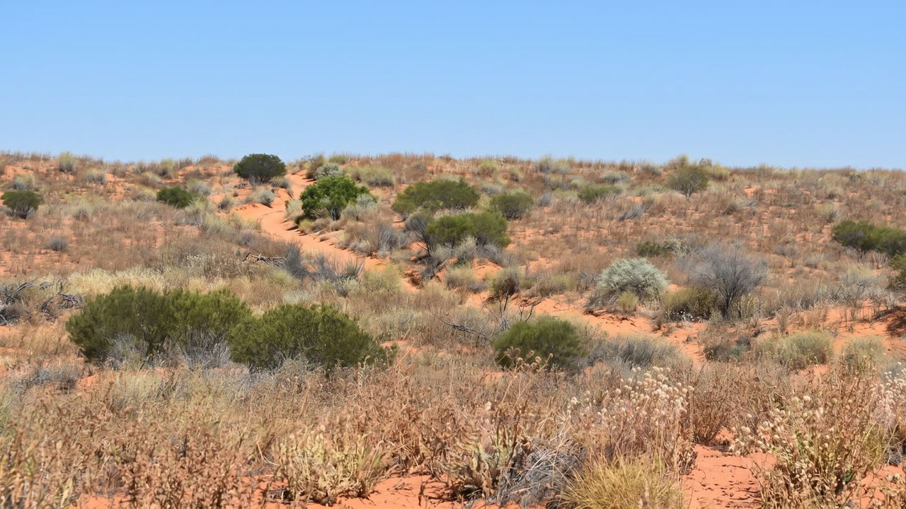 Material: Red-dirt reference